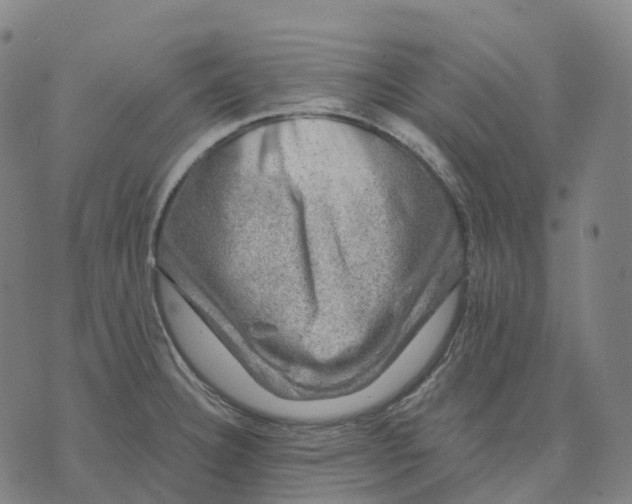 X0000074261332200609151752