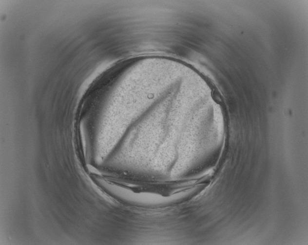 X0000074261333200609151752