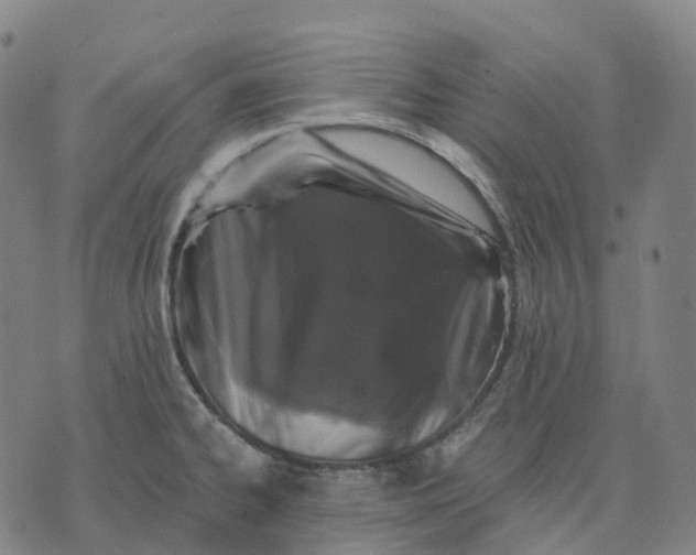 X0000074261334200609151752