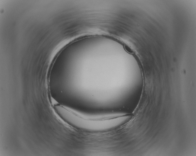 X0000074261335200609151752