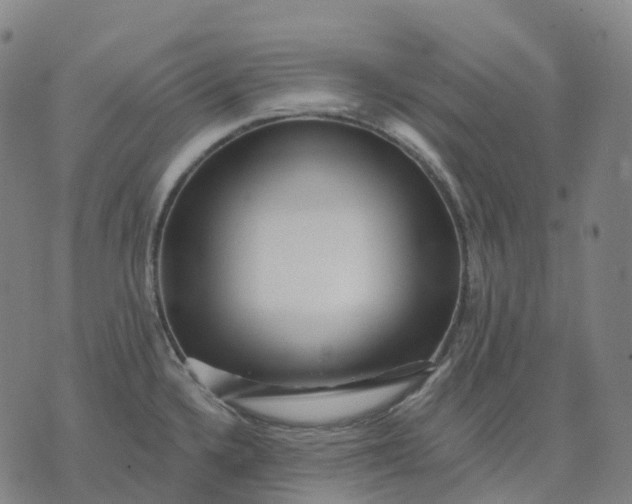 X0000074261336200609151752