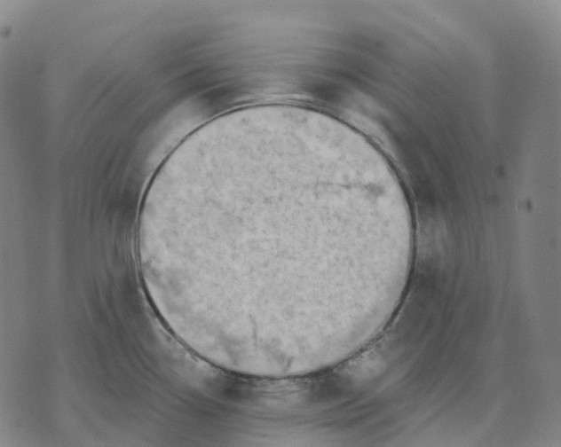 X0000074261338200609151752