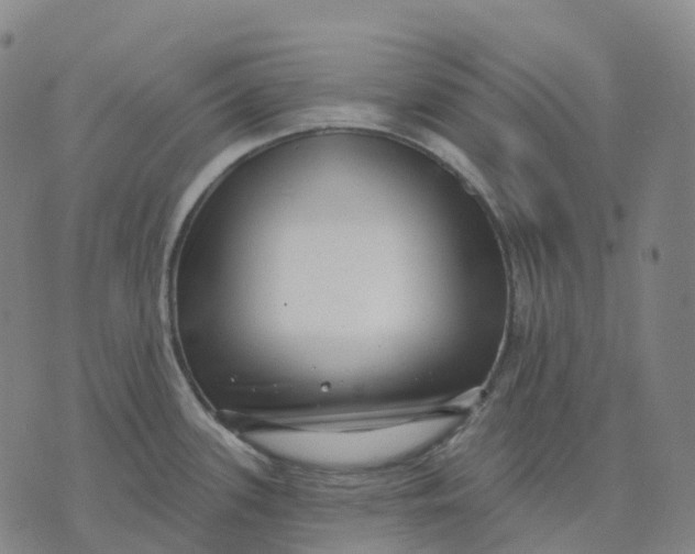 X0000074261339200609151752