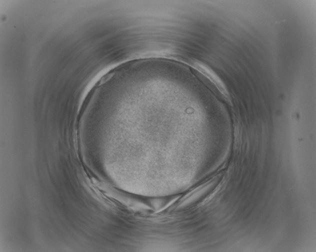 X0000074261340200609151752