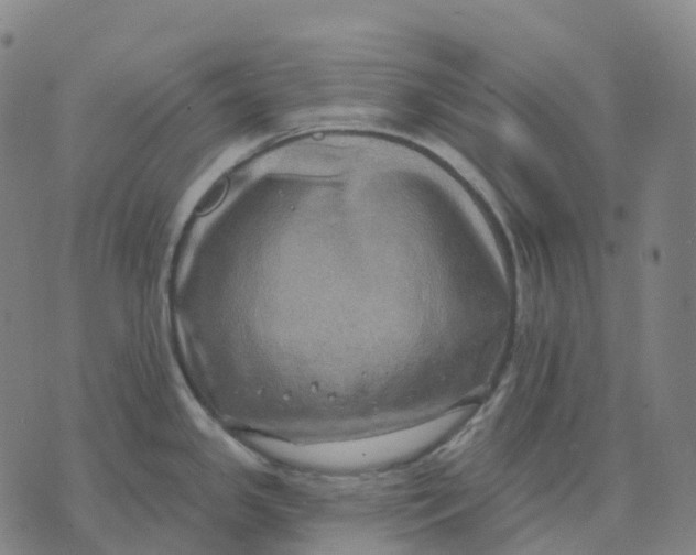 X0000074261341200609151752