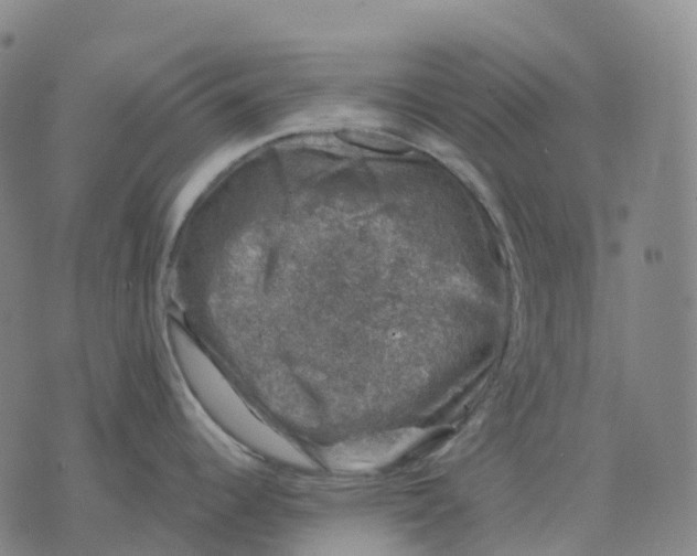 X0000074261344200609151752