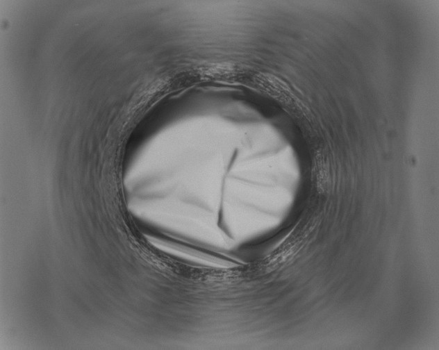 X0000074261345200609151751