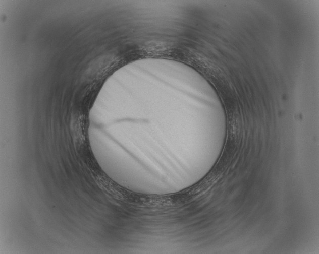 X0000074261346200609151751