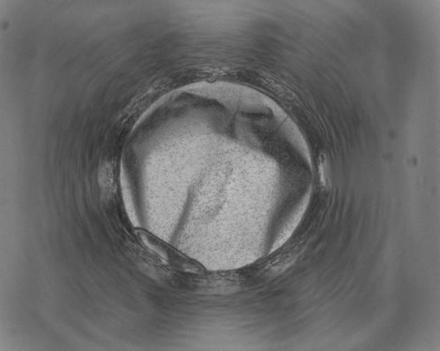 X0000074261347200609151751