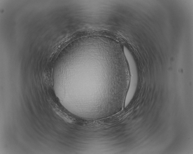 X0000074261348200609151751