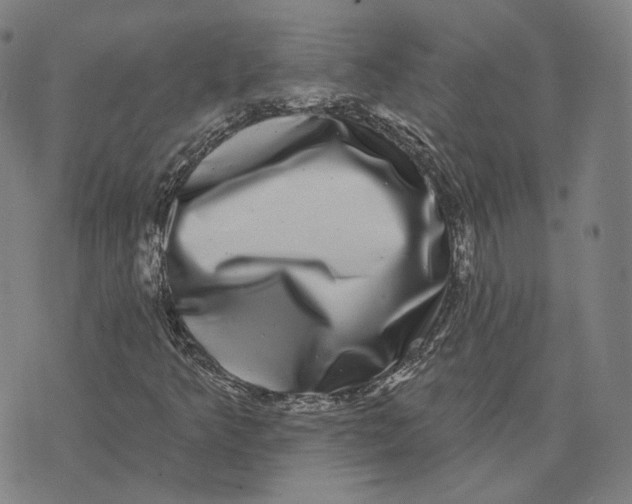 X0000074261349200609151751