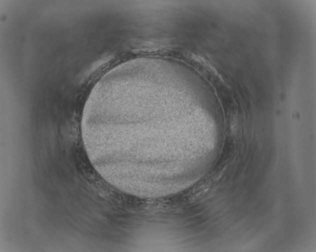 X0000074261350200609151751