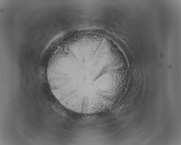 X0000074261351200609151751