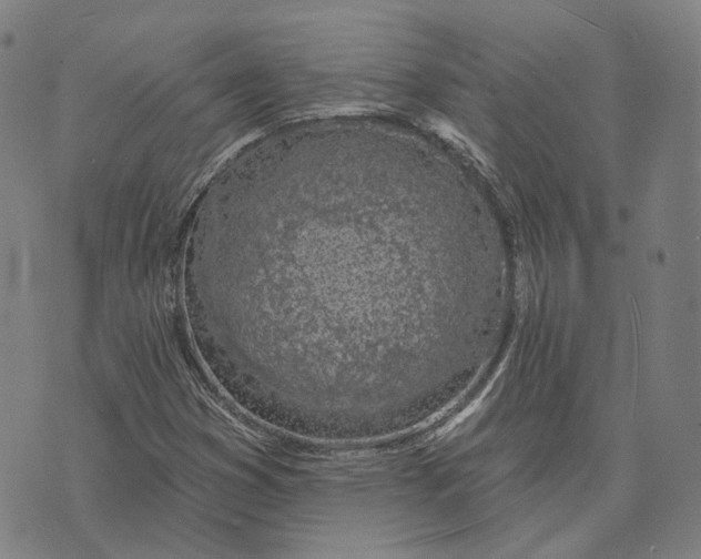 X0000074261353200609151751