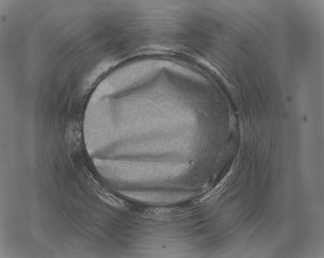 X0000074261355200609151751