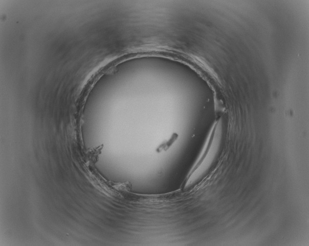 X0000074261356200609151751