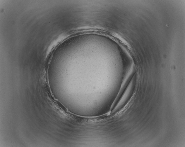 X0000074261357200609151751