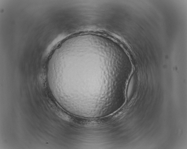 X0000074261359200609151751