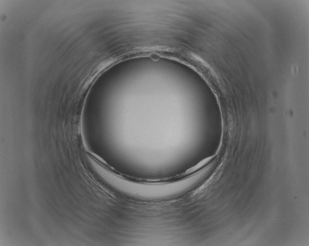 X0000074261361200609151751