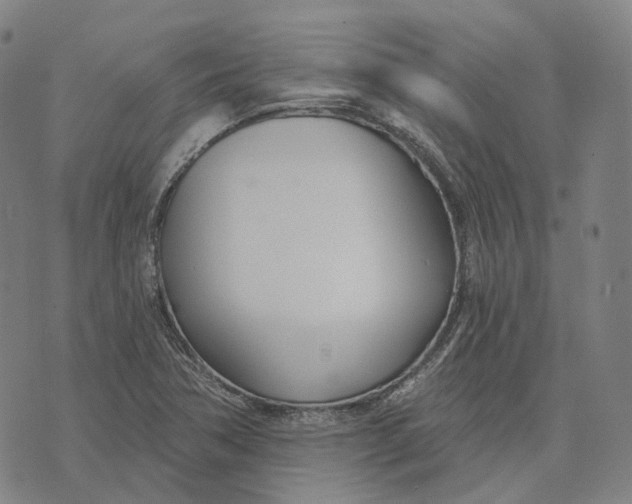 X0000074261362200609151751