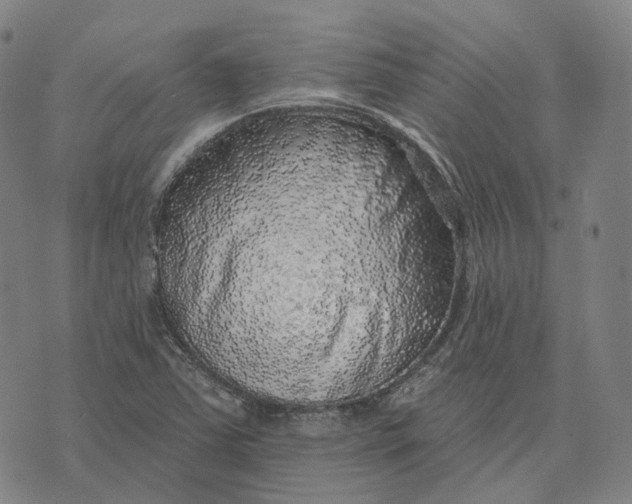 X0000074261363200609151751