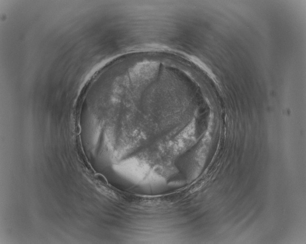 X0000074261364200609151751