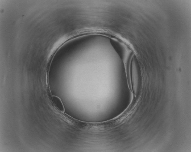 X0000074261365200609151751