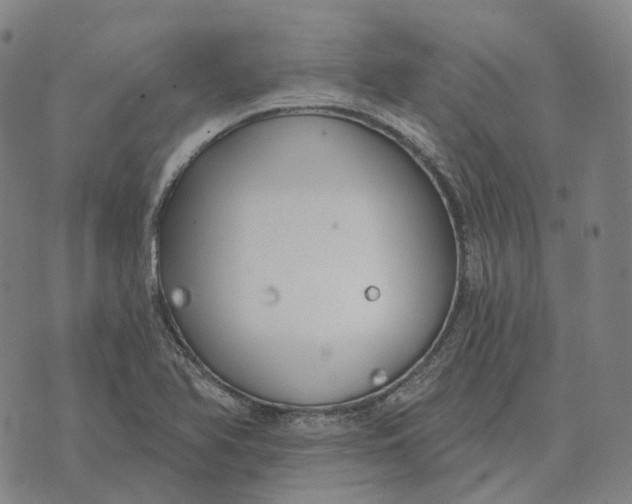 X0000074261366200609151751