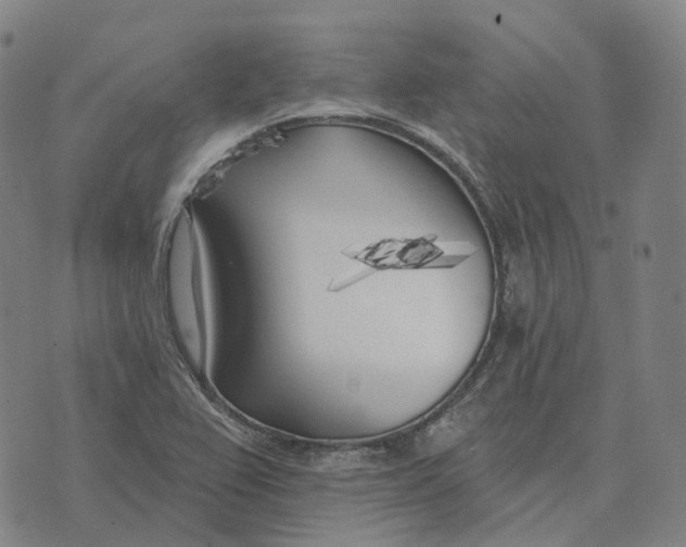 X0000074261367200609151751