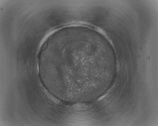 X0000074261368200609151751