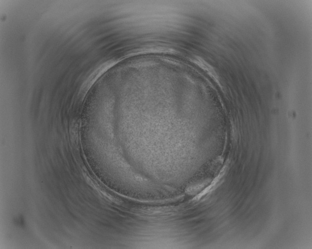 X0000074261369200609151751