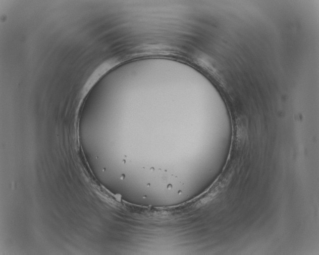 X0000074261370200609151751