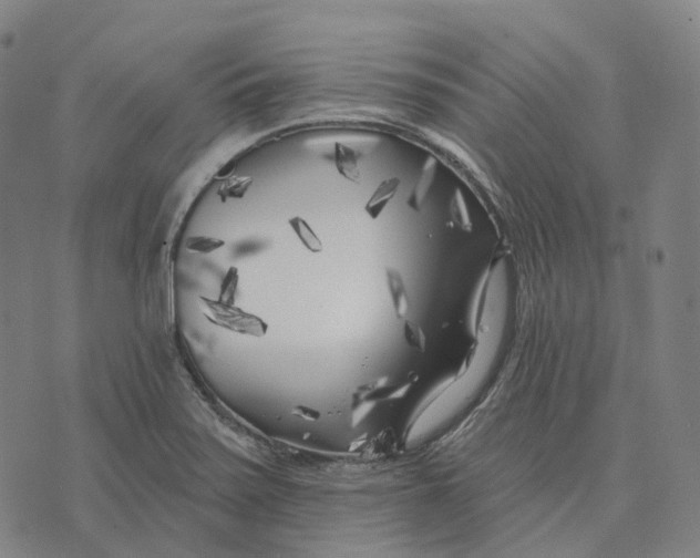 X0000074261371200609151751