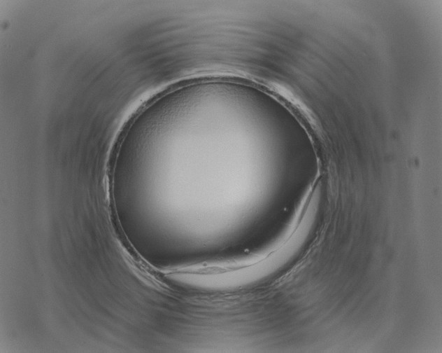 X0000074261372200609151751