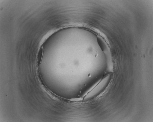 X0000074261373200609151751