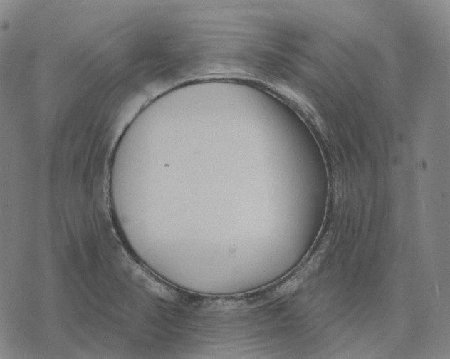 X0000074261374200609151750