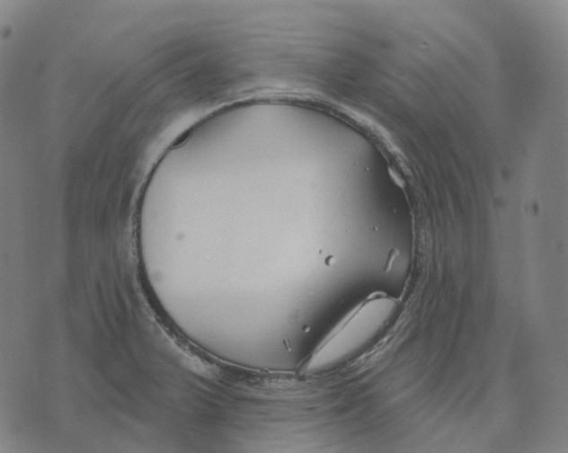 X0000074261375200609151750