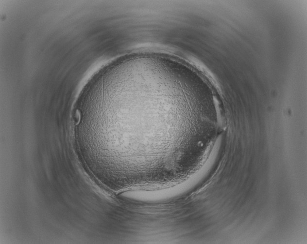 X0000074261376200609151750