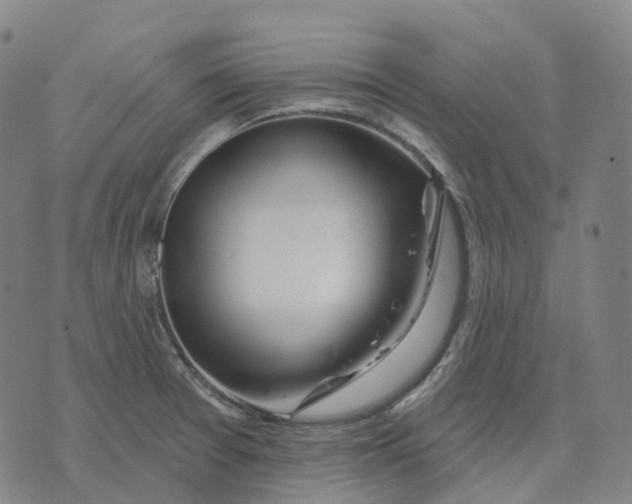 X0000074261377200609151750