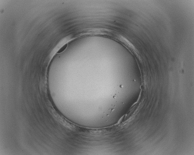 X0000074261378200609151750