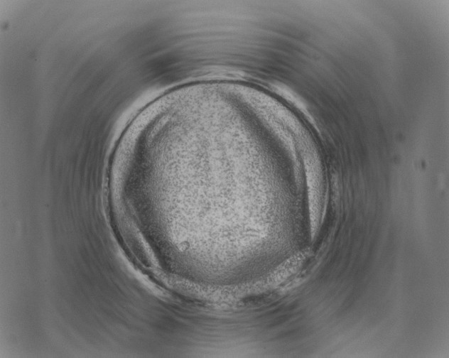 X0000074261379200609151750