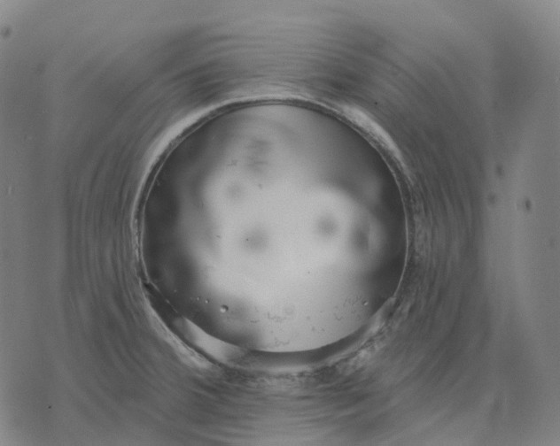 X0000074261380200609151750