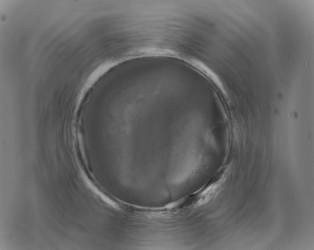 X0000074261381200609151750