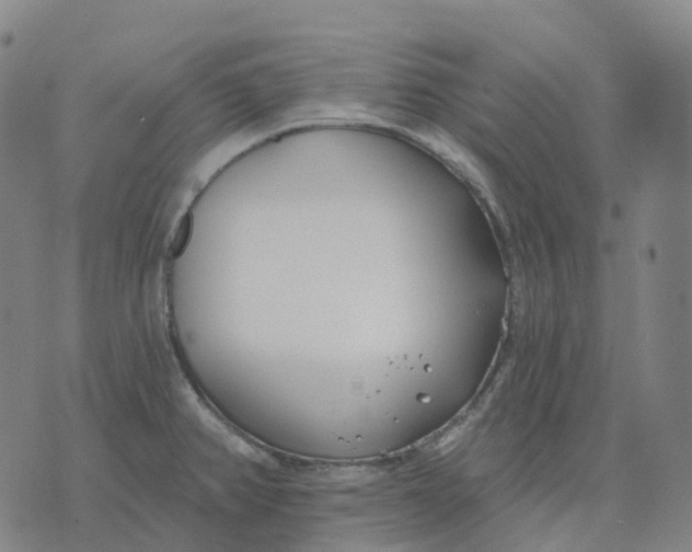 X0000074261382200609151750