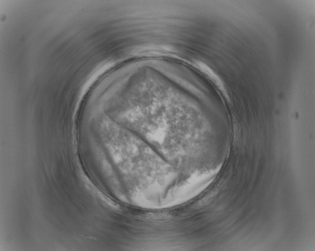 X0000074261384200609151750