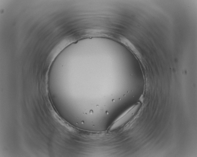 X0000074261386200609151750