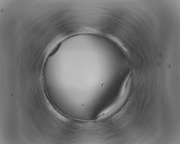 X0000074261387200609151750