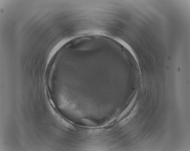 X0000074261389200609151750