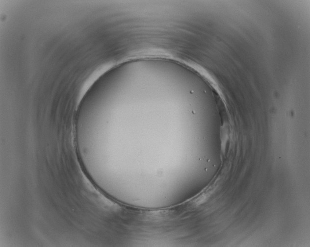 X0000074261390200609151750