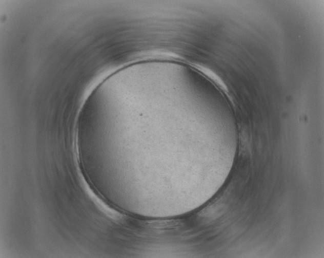 X0000074261391200609151750